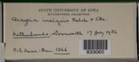Image Associated With the Occurence